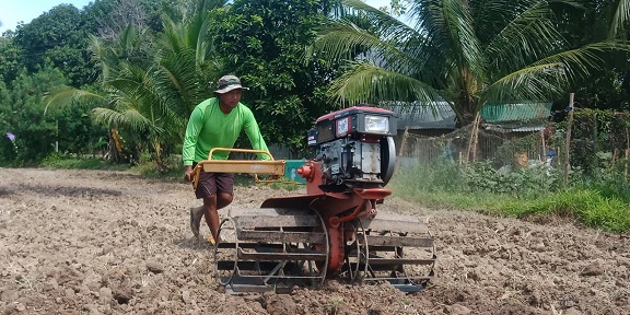 Worker plowing rice field